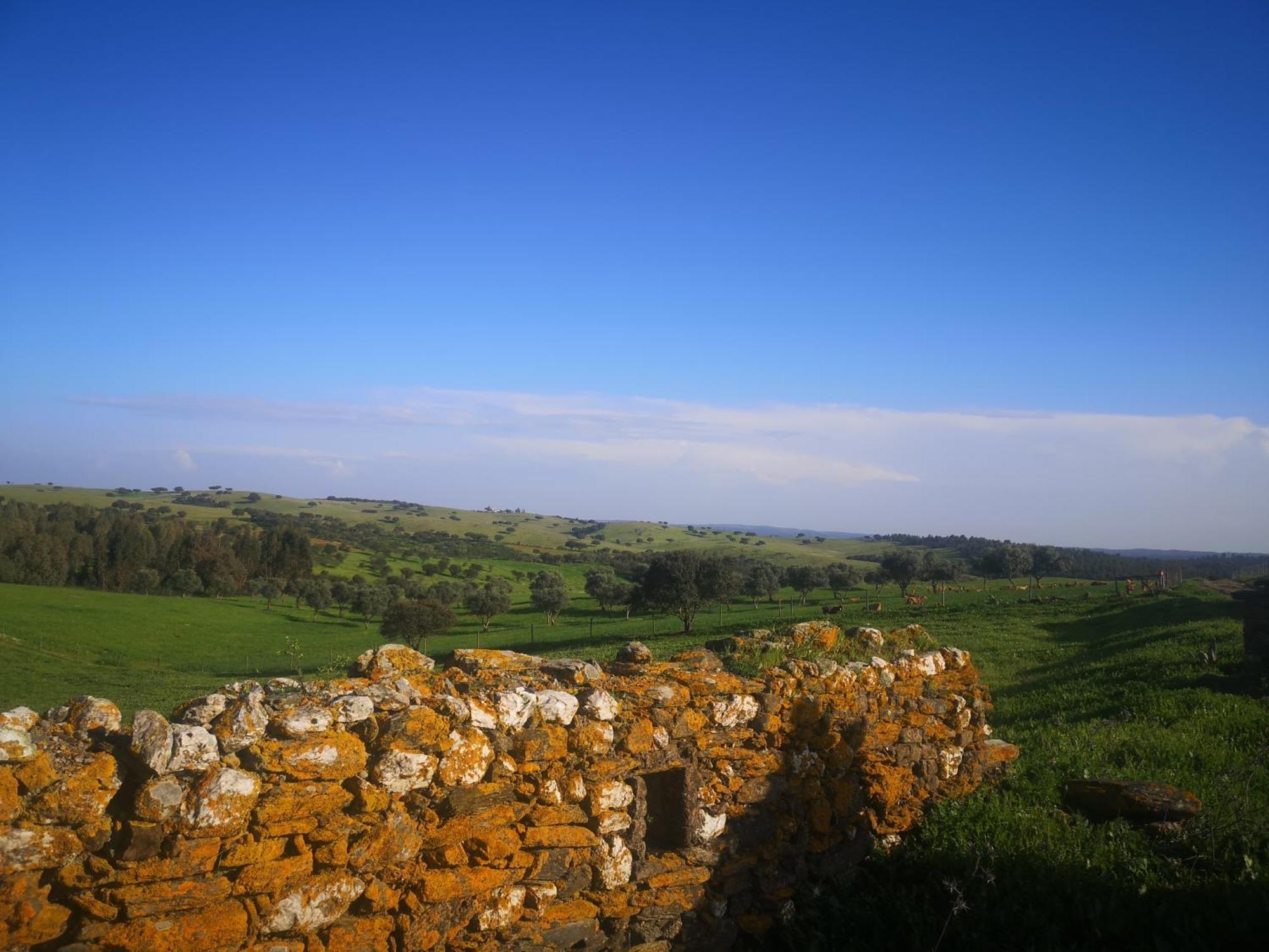 Refúgio d' Aldeia Reguengos de Monsaraz Quarto foto