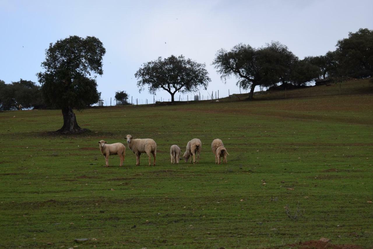 Refúgio d' Aldeia Reguengos de Monsaraz Exterior foto